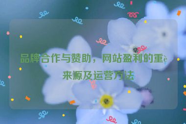 品牌合作與贊助，網(wǎng)站盈利的重要來(lái)源及運(yùn)營(yíng)方法