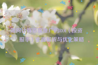 如何計算百度推廣的ROI（投資回報率）全面解析與優(yōu)化策略