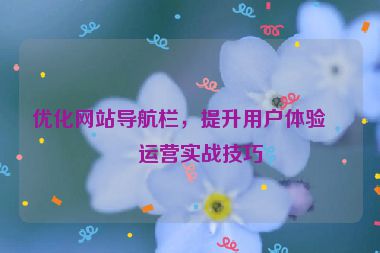 優(yōu)化網(wǎng)站導(dǎo)航欄，提升用戶體驗(yàn)，運(yùn)營實(shí)戰(zhàn)技巧