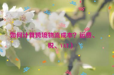 如何計(jì)算跨境物流成本？運(yùn)費(fèi)、關(guān)稅、VAT）