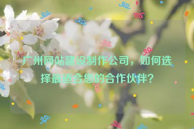 廣州網(wǎng)站建設(shè)制作公司，如何選擇最適合您的合作伙伴？