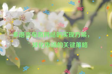 多語言電商網(wǎng)站的實現(xiàn)方案，全球化市場的關(guān)鍵策略