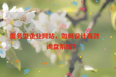 服務(wù)型企業(yè)網(wǎng)站，如何設(shè)計(jì)高效的詢盤系統(tǒng)？