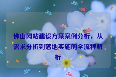 佛山網(wǎng)站建設(shè)方案案例分析，從需求分析到落地實(shí)施的全流程解析