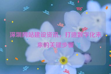 深圳網(wǎng)站建設(shè)資訊，打造數(shù)字化未來的關(guān)鍵步驟