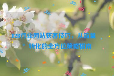 B2B行業(yè)網(wǎng)站獲客技巧，從流量到轉(zhuǎn)化的全方位策略指南