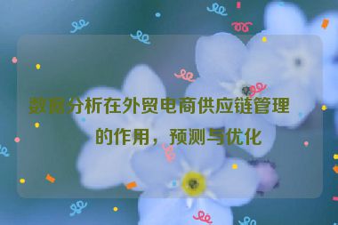 數(shù)據(jù)分析在外貿(mào)電商供應(yīng)鏈管理中的作用，預(yù)測與優(yōu)化