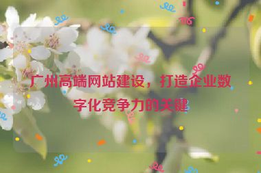 廣州高端網(wǎng)站建設(shè)，打造企業(yè)數(shù)字化競爭力的關(guān)鍵