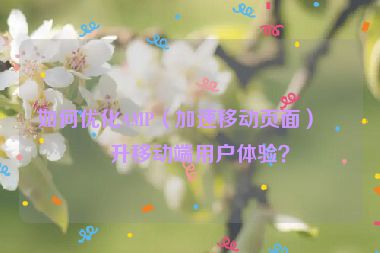 如何優(yōu)化AMP（加速移動(dòng)頁(yè)面）提升移動(dòng)端用戶體驗(yàn)？
