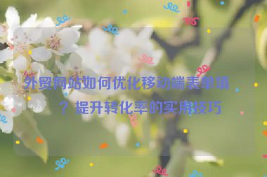 外貿(mào)網(wǎng)站如何優(yōu)化移動(dòng)端表單填寫？提升轉(zhuǎn)化率的實(shí)用技巧