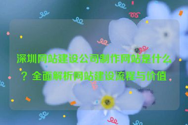 深圳網(wǎng)站建設(shè)公司制作網(wǎng)站是什么？全面解析網(wǎng)站建設(shè)流程與價值