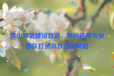 佛山網(wǎng)站建設(shè)首選，如何選擇專業(yè)團隊打造高效企業(yè)網(wǎng)站