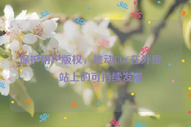 保護用戶版權，推動UGC在外貿網站上的可持續(xù)發(fā)展