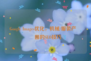 Google Images優(yōu)化，機(jī)械/服裝產(chǎn)品圖的SEO技巧