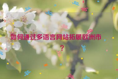 如何通過多語言網(wǎng)站拓展歐洲市場？