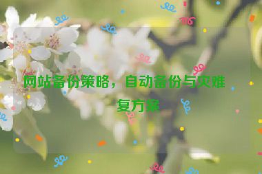 網(wǎng)站備份策略，自動(dòng)備份與災(zāi)難恢復(fù)方案