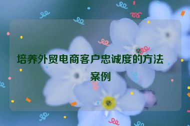 培養(yǎng)外貿電商客戶忠誠度的方法與案例