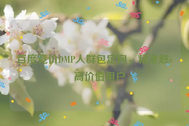 百度競價DMP人群包定向，精準觸達高價值用戶