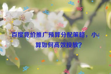 百度競價推廣預(yù)算分配策略，小預(yù)算如何高效投放？