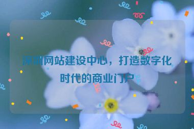 深圳網(wǎng)站建設(shè)中心，打造數(shù)字化時(shí)代的商業(yè)門戶