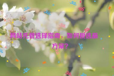 網(wǎng)站托管選擇指南，如何挑選最佳方案？