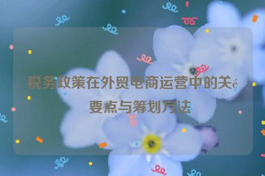 稅務政策在外貿電商運營中的關鍵要點與籌劃方法