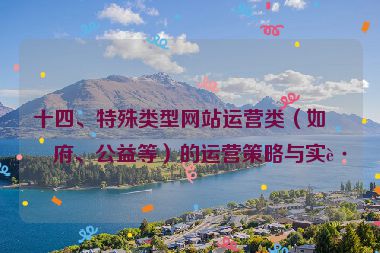 十四、特殊類型網(wǎng)站運(yùn)營類（如政府、公益等）的運(yùn)營策略與實踐