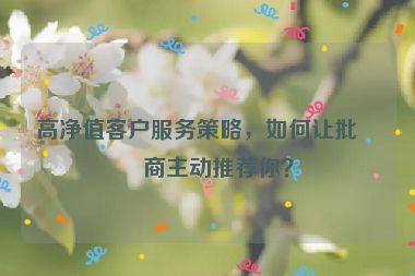高凈值客戶(hù)服務(wù)策略，如何讓批發(fā)商主動(dòng)推薦你？