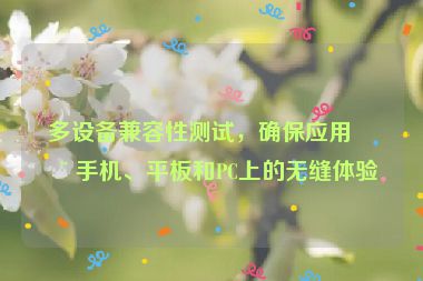多設(shè)備兼容性測試，確保應(yīng)用在手機(jī)、平板和PC上的無縫體驗