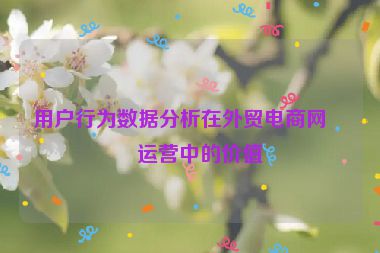 用戶行為數(shù)據分析在外貿電商網站運營中的價值
