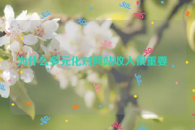 為什么多元化對網(wǎng)站收入很重要？