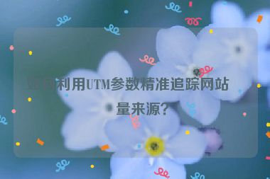 如何利用UTM參數(shù)精準(zhǔn)追蹤網(wǎng)站流量來(lái)源？