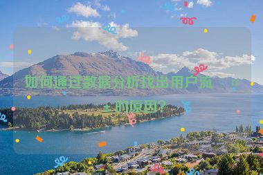 如何通過(guò)數(shù)據(jù)分析找出用戶流失的原因？