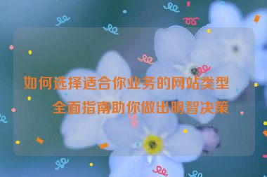 如何選擇適合你業(yè)務的網(wǎng)站類型？全面指南助你做出明智決策