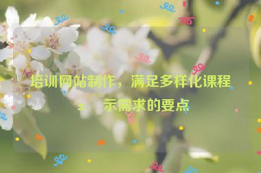 培訓(xùn)網(wǎng)站制作，滿足多樣化課程展示需求的要點(diǎn)