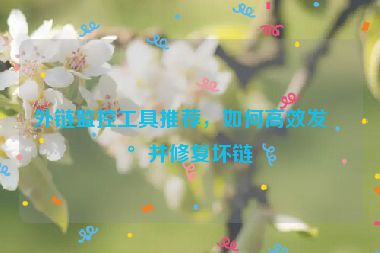 外鏈監(jiān)控工具推薦，如何高效發(fā)現(xiàn)并修復(fù)壞鏈