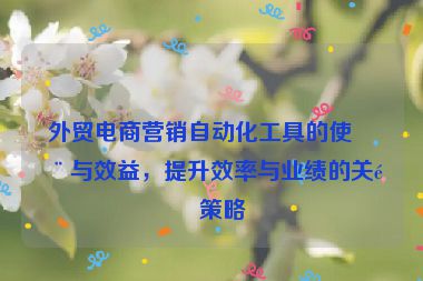 外貿(mào)電商營(yíng)銷自動(dòng)化工具的使用與效益，提升效率與業(yè)績(jī)的關(guān)鍵策略