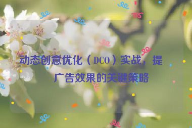 動態(tài)創(chuàng)意優(yōu)化（DCO）實戰(zhàn)，提升廣告效果的關(guān)鍵策略