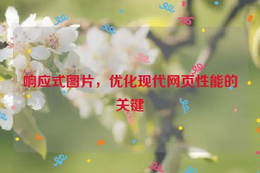 響應(yīng)式圖片，優(yōu)化現(xiàn)代網(wǎng)頁性能的關(guān)鍵
