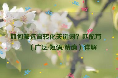 如何篩選高轉(zhuǎn)化關(guān)鍵詞？匹配方式（廣泛/短語(yǔ)/精確）詳解