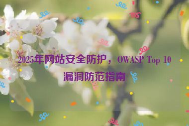 2025年網(wǎng)站安全防護(hù)，OWASP Top 10漏洞防范指南