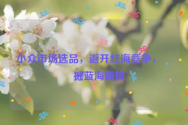 小眾市場(chǎng)選品，避開紅海競(jìng)爭(zhēng)，挖掘藍(lán)海商機(jī)