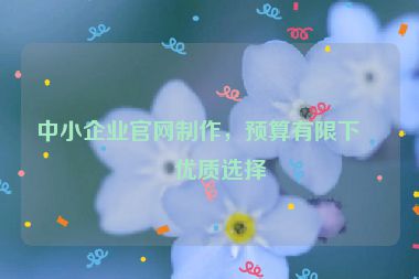 中小企業(yè)官網制作，預算有限下的優(yōu)質選擇