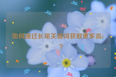 如何通過長尾關鍵詞獲取更多流量？