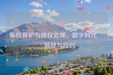 版權(quán)保護(hù)與侵權(quán)處理，數(shù)字時(shí)代的挑戰(zhàn)與應(yīng)對