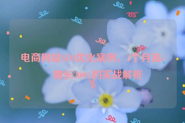 電商網(wǎng)站SEO優(yōu)化案例，3個月流量增長300%的實戰(zhàn)解析