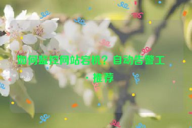 如何監(jiān)控網(wǎng)站宕機(jī)？自動(dòng)告警工具推薦