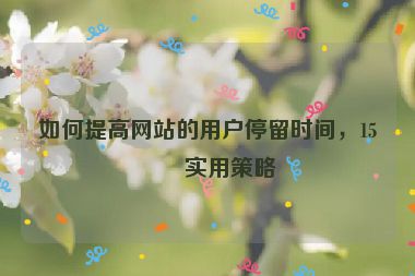如何提高網(wǎng)站的用戶停留時間，15個實用策略