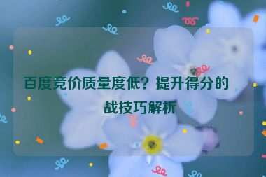百度競價質(zhì)量度低？提升得分的實戰(zhàn)技巧解析