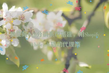 獨(dú)立站B2B分銷(xiāo)系統(tǒng)搭建，用Shopify Wholesale撬動(dòng)代理商